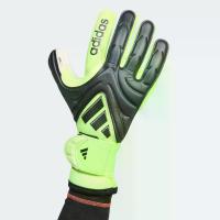 ราคา adidas ฟุตบอล ถุงมือผู้รักษาประตู Copa Pro Unisex สีดำ JN5334 (1731487360293373715)