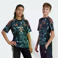 ราคา adidas ฟุตบอล เสื้อฟุตบอลชุดเยือน FC Bayern 24/25 สำหรับเด็ก เด็ก สีดำ IT2247 (1731275028761053971)