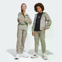 ราคา adidas Lifestyle adidas Z.N.E. Tapered-Leg Pants Unisex Beige JD0007 (1731280437191150355)