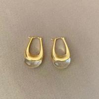 ราคา Fashion Geometric Shape S925 Earrings (1733303162353518030)