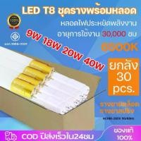 ราคา [COD] 30 series Gold Bar led T8 9W/18W/20W/40W 60cm/120cm white light Daylight 6500K LED (1733191775597856176)