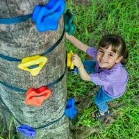 ราคา 20 Pieces Outdoor Climbing Rock Set, Ninja Climbing Rock Tool Kit - Durable PE Material for Freestanding Warrior Obstacle Course Training, Includes 6 Large Straps, Reinforced Stable Climbing Rocks (17