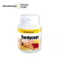 ราคา Cordyceps Powder Plus Reishi Extract ผลิตภัณฑ์เสริมอาหาร ถั่งเช่าผงผสมสารสกัดจากเห็ดหลินจือ (1732197759484331435)