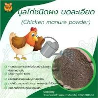 ราคา มูลไก่แบบผง ปุ๋ยอินทรีย์ชนิดผง ปุ๋ยขี้ไก่พร้อมใช้ chicken manure powder ขนาดบรรจุ 20 กิโลกรัม(จำหน่ายแบบยกกระสอบ) (1733443414584559533)