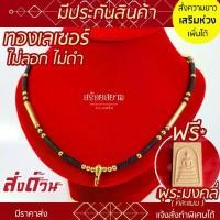 ราคา Flash Sale คนไทยแนะนำ! SOI-SIAM [งานอย่างดี มีรับประกัน] สร้อยกะลา ห้อยพระ รหัส KL20 ตัวขุนทอง คั่นกะลาดำ เม็ดทองเลเซอร์ (1732955048898888930)