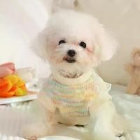 ราคา Dog Clothes Winter Thickened Teddy Bichon Schnauzer Cat Sweater Pomeranian Sweater Knitted Sweater (1733380053019297690)