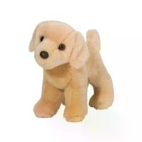 ราคา นายอินทร์ Zach Yellow Lab แซ็คตุ๊กตาสุนัขพันธุ์ลาบราดอร์สีน้ำตาลอ่อน ขนาด 10 นิ้ว (1732600453070423794)