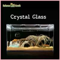 ราคา Barbarous Growth กล่องเลี้ยงสัตว์เลื้อยคลาน crystal glass สำหรับ ตุ๊กแก งู สปอตสินค้า (1732714423621813469)
