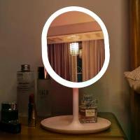 ราคา Mirror with Led Lights, Makeup Mirror, Storage Tray Led Makeup Mirror Mirror with Front Light, Portable Light (1733241484343150403)