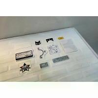 ราคา ชุดใหญ่ sticker คำเตือนชาลี รอบคัน อะไหล่ แต่ง จีออโน่ (1733094415601468909)