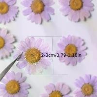 ราคา ดอกไม้แห้ง 60 ชิ้น ปั๊มลายคริสตัล ดอกเบญจมาศ ทำมือ กรอบรูป DIY ที่คั่นหนังสือ ตกแต่งใบหน้า เคสโทรศัพท์ จานรองแก้ว สร้อยคอ กิ๊บติดผม กระดิ่งลม คริสต์มาส วันแม่ รับปริญญา ฤดูกาลวันเกิด วันวาเลนไทน์ (173