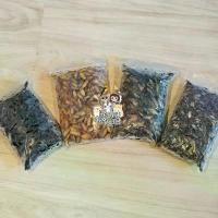 ราคา [ แช่แข็ง ] จิ้งหรีดไข่ สะดิ้ง แมลง แช่แข็ง ไม่ใส่เกลือ สำหรับ สัตว์เลี้ยง (1732749757950887105)