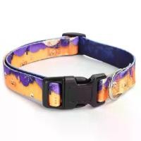 ราคา ปลอกคอสุนัข ยอดนิยม ดีไซน์ฟักทอง สัตว์เลี้ยง และสไตล์ป่าน (1732311238049432933)