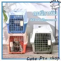 ราคา ขายดีประจำเดือนนี้ ขายดี บล็อกบัสเตอร์ กรงหิ้ว กล่องใส่สัตว์เลี้ยง กรงเดินทาง สำหรับสุนัขและแมว สัตว์เลี้ยง กรงแมว กรง หมา ที่นอนแมว กรงหิ้ว กล่องใส่สัตว์เลี้ยง (1732553780370769307)