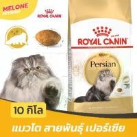 ราคา [กระสอบ] Royal Canin Persian Adult รอยัลคานิน อาหารแมว พันธุ์ เปอร์เซีย อาหารแมว แมวโต 1 ปีขึ้นไป ขนาด 10 kg (1733188678500451783)