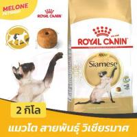 ราคา [ล็อตใหม่] Royal Canin Siamese Adult อาหารแมว โรยัล คานิน แมวโต พันธุ์ วิเชียรมาศ อายุ 1 ปี ขึ้นไป ขนาด 2 kg (1733194159341536991)