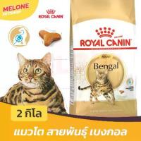 ราคา Royal Canin Bengal Adult อาหารแมว แมวโต รอยัลคานิน ตัวแน่น พันธุ์ เบงกอล 2 kg (1733193939393480661)
