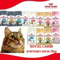 ราคา [ROYAL CANIN 2kg] Royal Canin รอยัล คานิน อาหารแมว ชนิดเม็ด ขนาด มีหลายสูตรให้เลือก (1732495291424408746)