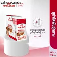 ราคา ♢[10 ซอง] Royal Canin Medium Adult Pouch Gravy อาหารเปียกสุนัขโต พันธุ์กลาง อายุ 1 - 7 ปี (Dog Food, โรยัล คานิน)✶ (1733044439656531836)