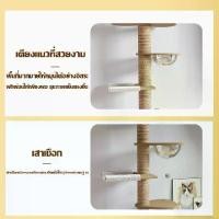 ราคา [COD] SKISOPGO คอนโดแมวแบบยึดเพดาน คอนโดแมวทรงสูง DIY ชั้นนอนได้ เหมาะสำหรับเพดานความสูง 260cm (1733456809716713179)