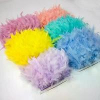 ราคา [COD] 10 Meters Colorful Turkey Feathers Trim Fringe Craft 10-15CM Ribbon for Clothing Sewing Wedding Dress Decoration Tape Plumes (1733152351020942782)