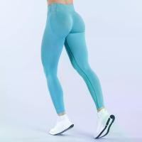 ราคา Lycra High Elastic Hip Lift Tight Front V Waist Long Pants Seamless Cropped Pants Yoga Pants Fitness Pants Women (1733169672059979067)