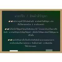ราคา พระปทม พุทธอุปกรณ์ พญานาค เพชรพญานาค ขนาด 12*17 mm ผ่านพิธีกรรมปลุกเสกเรียบร้อยที่คำชโนด พุทธศาสนา meditation (1732953309995370349)