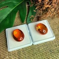 ราคา พระปทม พระពុท្ធ พญานาค เพชรพญานาคสีส้มสวย ผ่านพิธีกรรมปลุกเสกเรียบร้อย พุทธศาสนา meditation (1732865243628995641)