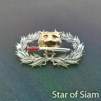 ราคา จัดส่งในกรุงเทพฯ เสือคาบดาบ เครื่องหมายจู่โจม รบพิเศษ จู่โจม Thai ranger (1733066078888166953)