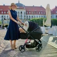 ราคา ลูกค้านิยม รถเข็นสุนัขและแมว Ibiyaya Retro Luxe Pet Stroller รับน้ำหนักได้ 35 Kg. (1733181299034457231)