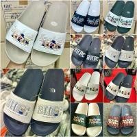 ราคา รองเท้าสวม Beverly Hills Polo Club #รองเท้าสวมพี่หมี #รองเท้าแตะpolo #BHPC #beverlyhillspoloclub (1732574635312186808)