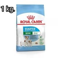 ราคา Royal Canin​ สูตร Mini Starter​ 1​ kg. ลูกสุนัข​พันธุ์​เล็ก​ (1732752890073875555)