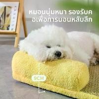 ราคา สุนัขคอก ฤดูร้อนรังเย็น, หวายทอ, แผ่นรองสุนัข, รังแมว, ฟองน้ำหนา, เสื่อสัตว์เลี้ยง, ถอดซักได้ ซิดแคมป์ แมว human dog bed เบาะ ที่ นอน น้อง หมา น้อง เตียง เต่า ซูคาต้า เปล (1732336361762096368)