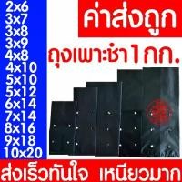ราคา *ค่าส่งถูก* ถุงเพาะชำ (แบ่งขาย กก.) ถุงเพาะกล้า เจาะรู ปลูกต้นไม้ เนื้อมัน เหนียว ส่งไวมาก ติด โต๊ะ ไม้ อะคริลิค ผนัง กัน จอม ไลฟ์สด ตอน นี้ (1733210615789487803)