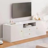 ราคา ชั้นทีวี ตู้ทีวี โต๊ะทีวี ใช้เป็นตู้เก็บของ ชั้นวางของ ตู้วางทีวี (1733403529754805393)