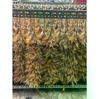 ราคา ไม้ปัดฝุ่น ไม้ขนไก่ยาว 70cm เกรดพรีเมียม คุณภาพดี ด้ามหวายเทียม ไม้ปัดฝุ่น ไม้ปัดขนไก่ ไม้ปัดฝุ่นขนไก่ อุปกรณ์ทำความสะอาด สำหรับปัดรถ บ้าน โต๊ะ ตู้ เตียง เครื่องใช้สำนักงาน แปรงปัดฝุ่น (17331423090281