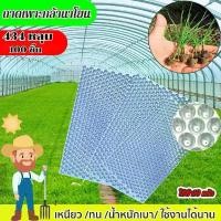 ราคา 【100pcs】ถาดเพาะกล้า ถาดเพาะกล้านาโยน (แบบหนา) 434 หลุม ถาดเพาะชำ ถาดเพาะเมล็ด เพาะข้าว ถาดเพาะปลูกผัก 434หลุม เมล็ด เมล็ดพันธุ์ นาโย ป้องกันโรครากเน่า เหนียว ทนทาน (1733034567902922044)