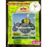 ราคา เมล็ดพันธุ์ ฟักทอง ลายข้าวตอก 573 ️ล้อตใหม่️ตราศรแดง ขนาด 20 กรัม มัน อร่อยมาก (1732936272189294068)