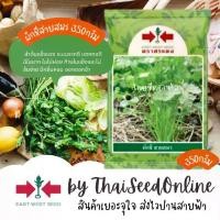 ราคา [พร้อมส่ง] EW เมล็ดพันธุ์ ผักชีสายสมร 350 กรัม ตราศรแดง Coriander (1733155950322812188)