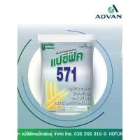 ราคา ข้าวโพดฝักอ่อน 571 ขนาด 5 กิโลกรัม ข้าวโพดแอ้ แปซิฟิค เมล็ดพันธุ์ ลอตใหม่ งอกดี ผลผลิตสูง ทรงฝักดี สีสวย เหมาะกับทุกพื้นที่ (1732961232791242550)