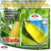 ราคา ข้าวโพดหวาน ข้าวโพดจัมโบ้สวีท จัมโบ้สวีท ข้าวโพดหวานลูกผสม จัมโบ้ สวีท F1 เมล็ดข้าวโพด เมล็ดพันธุ์ พันธุ์่ข้าวโพด 1กิโลกรัม (1731447882097920251)