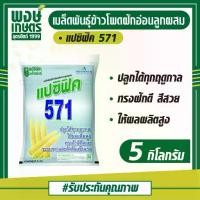 ราคา เมล็ดพันธุ์ข้าวโพดฝักอ่อนลูกผสม 571 ตราแปซิฟิค ขนาด 5กก. ไม่ต้องถอดยอด ข้าวโพด เมล็ดพันธุ์ (1731816917713062710)
