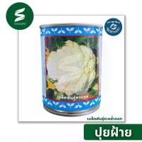 ราคา เมล็ดพันธุ์ กะหล่ำดอกลูกผสม กะหล่ำดอก ปุยฝ้าย ตราลูกโลก (1732877630914004286)