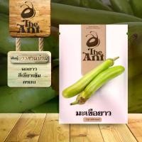 ราคา (ซื้อ1แถม1)มะเขือยาว พันธุ์ยาวสวนบ้าน เมล็ดพันธุ์ ชุดปลูกผัก กระถางผัก เมล็ดพันธุ์ออแกนิค พืชผักสวนครัว (1733472750424852241)