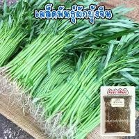 ราคา เมล็ดพันธุ์ ผักบุ้งจีน ผักสวนครัว 20 กรัม [10 แถม 1 คละได้] (1732073019138868421)