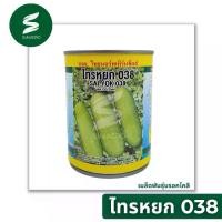 ราคา เมล็ดพันธุ์ แฟง อ่อน ลูกผสม ไทรหยก ลอตใหม่ (1733104704570295614)