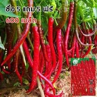 ราคา [ซื้อ 5 แถม 5 ฟรี]เมล็ดพันธุ์พริกยาวโจลอง 600เมล็ด เมล็ดพันธุ์ พริกขี้หนู พริกชี้ฟ้ าพริกยาว พริกเขาแพะ พริกยักษ์บิ๊กจิม ปลูกง่าย ให้ผลิตสูง (1733103496244266454)