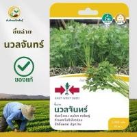 ราคา เมล็ดพันธุ์ ”ขึ้นฉ่าย นวลจันทร์“ (1733063815777453250)