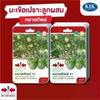 ราคา ผักซอง ศรแดง เมล็ดพันธุ์ พันธุ์ผัก มะเขือเปราะ หยาดทิพย์ F1 บรรจุแพ็คล่ะ 10 ซอง (1733317823234082770)
