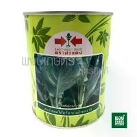 ราคา COD 2025 เมล็ดพันธุ์ คะน้ายอดใต้หวัน บางบัวทอง 35 ตราศรแดง 500 กรัม ( คะน้า เมล็ดผัก ผักสวนครัว พงษ์เกษตรอุตรดิตถ์ ) (1732829587639928524)